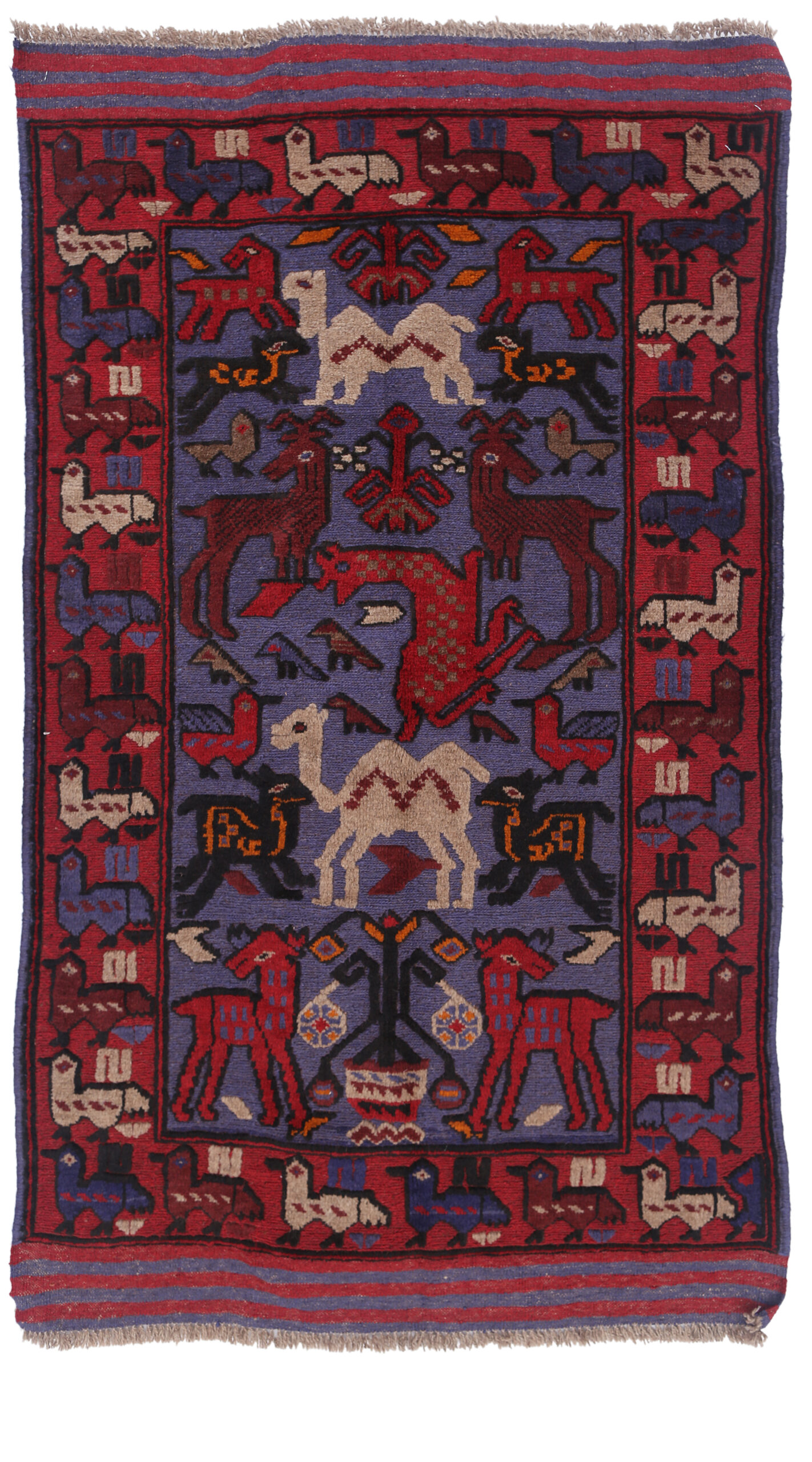 Tribal Baloch Rugs 5' X 3' - Image 3
